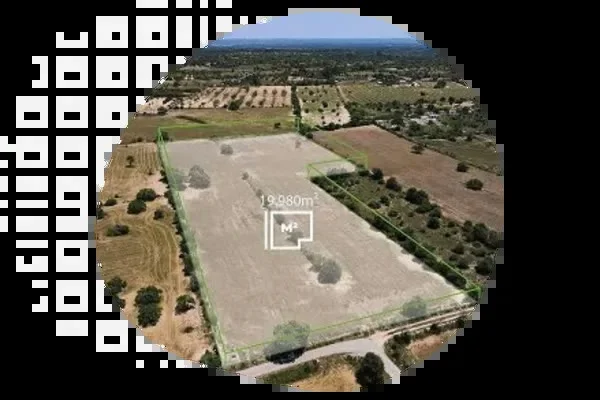 drone orthophotography