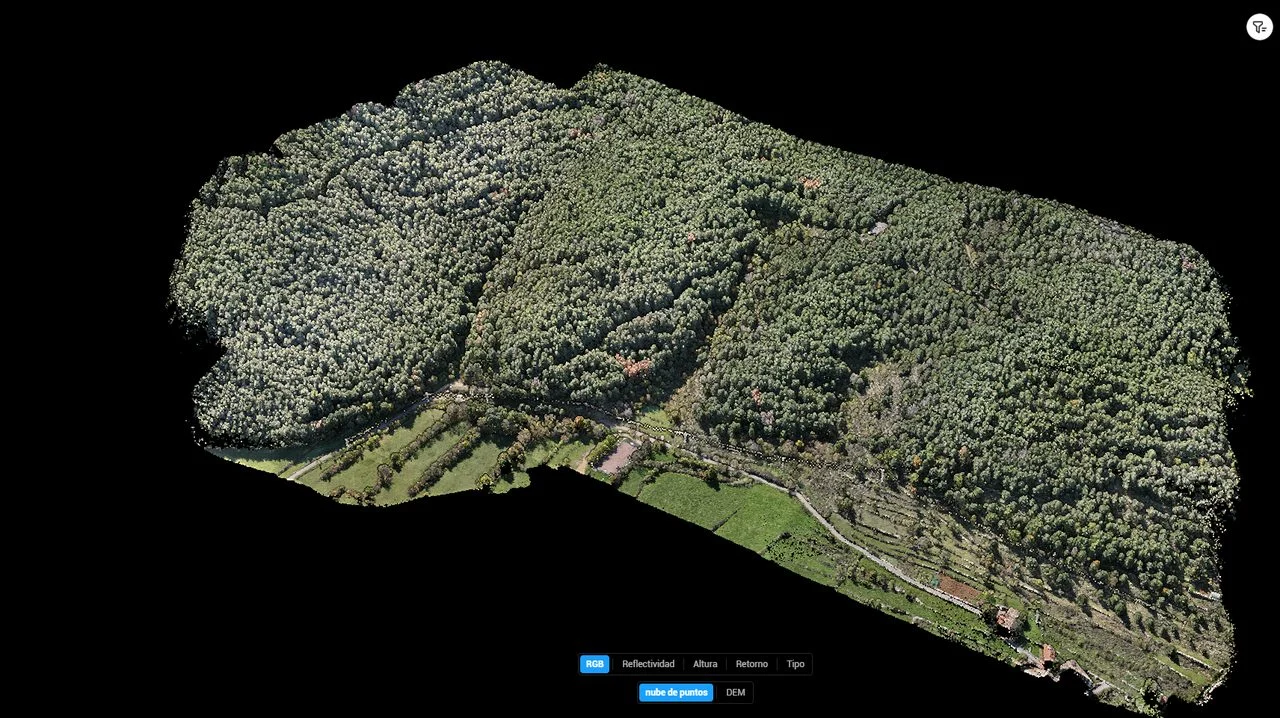 3D model of a forest produced with drone LiDAR as a point cloud, for mapping and surveying densely vegetated areas.