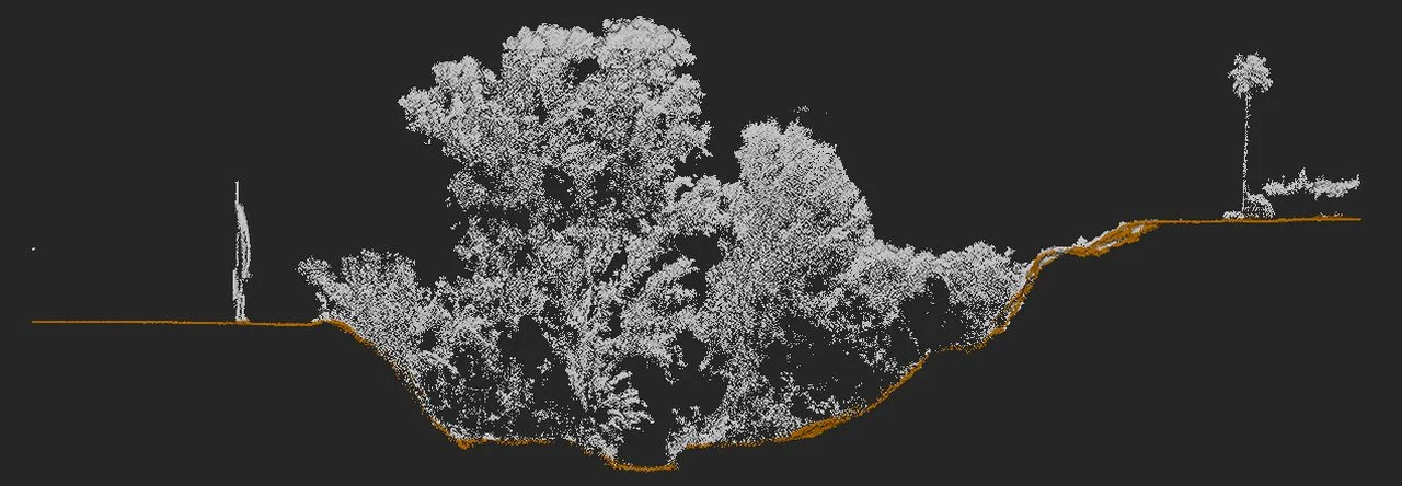 Profile of a LiDAR point cloud distinguishing the vegetation from the terrain line recovered beneath the forest with drone LiDAR.