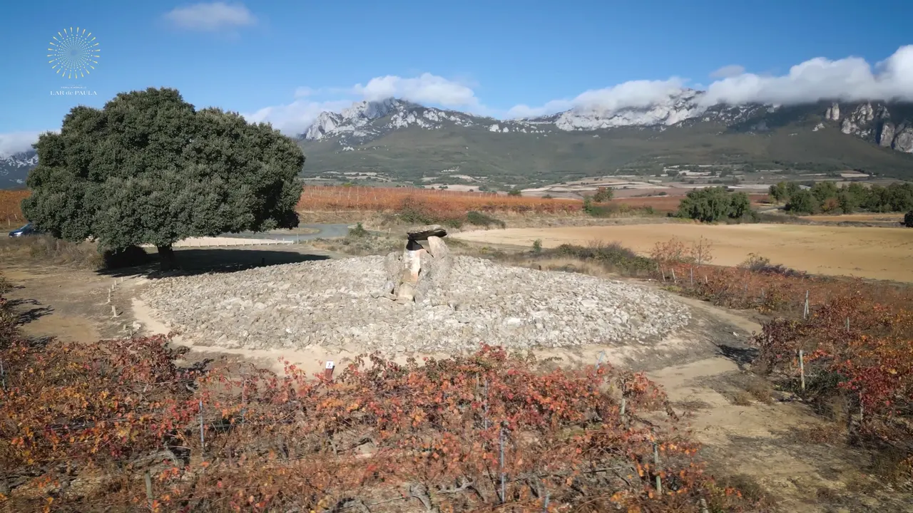 Aerial corporate video of the Lar de Paula winery
