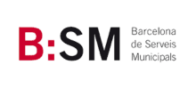 Logo-bsm servicios audiovisuales